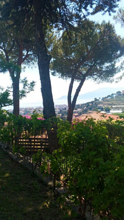 Le Gardenie Da Fil Bed and Breakfast Bordighera Εξωτερικό φωτογραφία